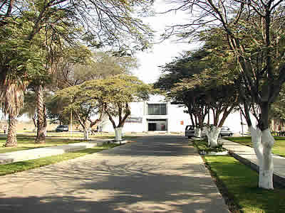 MUSEO REGIONAL DE ICA 02